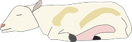 goatOne.png